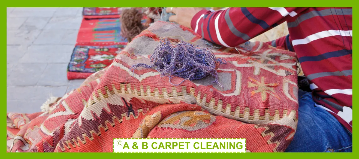 Professional rug cleaning in action